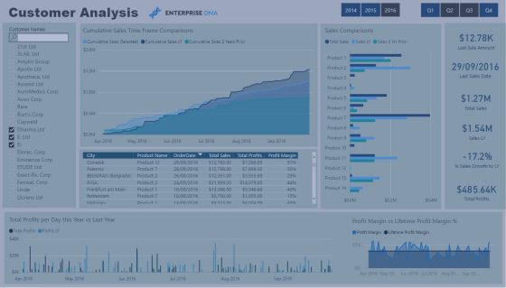 Understanding your customer better with Power BI | Master Data Skills + AI