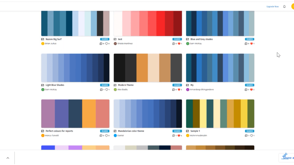 color palette