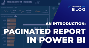 Paginated Report In Power BI: An Introduction