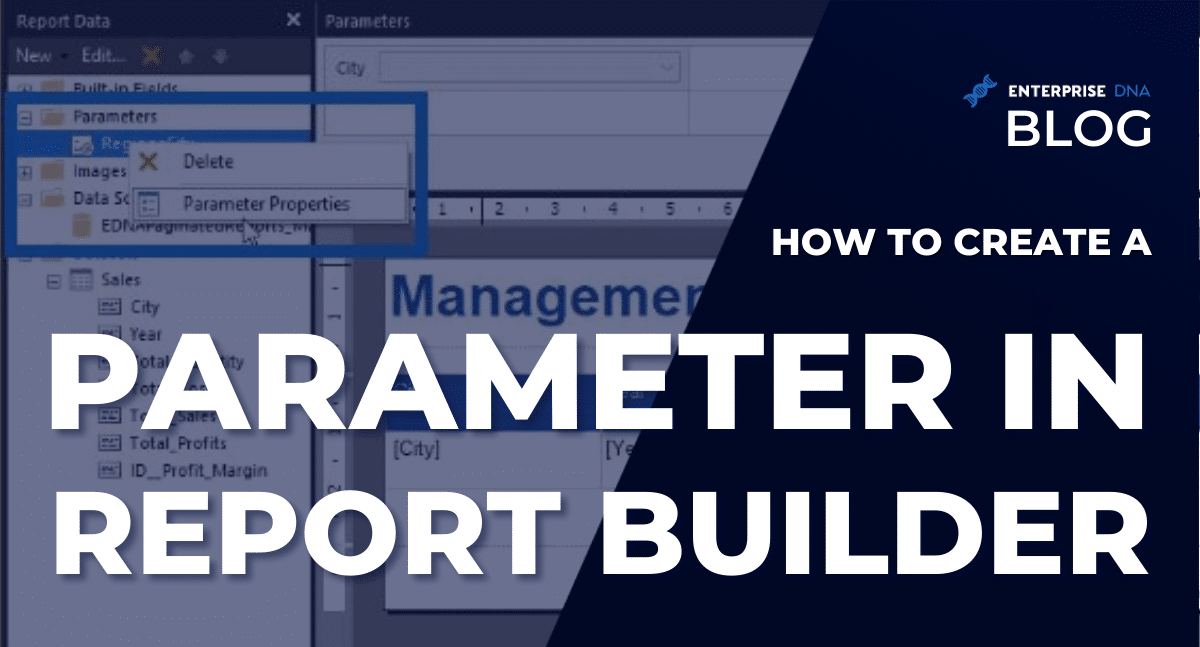 How To Create A Parameter In Report Builder - Enterprise DNA
