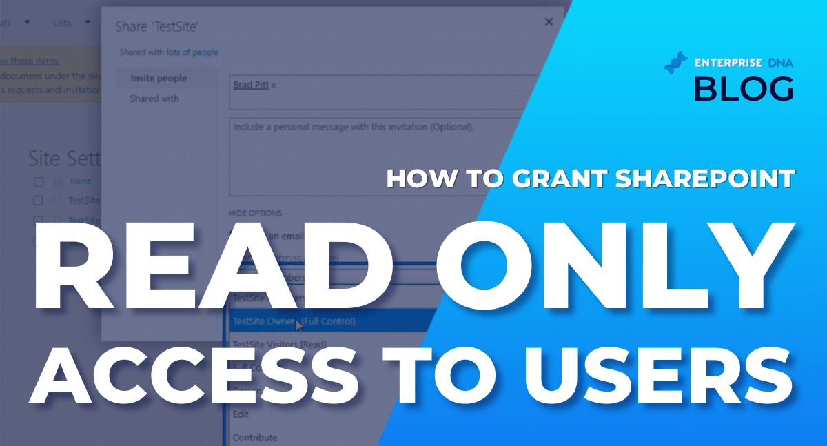 How To Grant SharePoint Read Only Access To Users