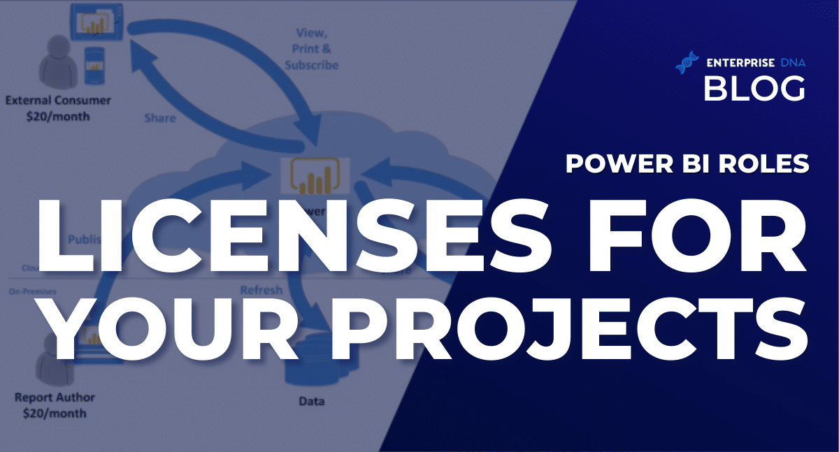 Power BI Roles And Licenses For Your Projects - Enterprise DNA