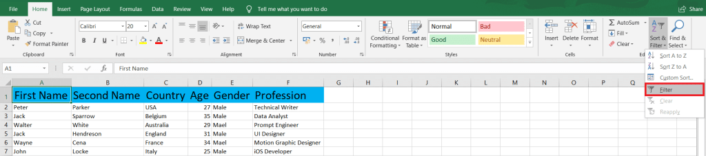Select Filter in Microsoft Excel