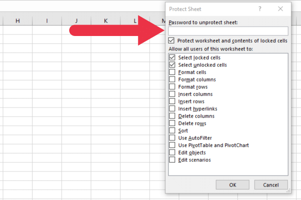 Excel Protect Sheet dialog box with password input box highlighted