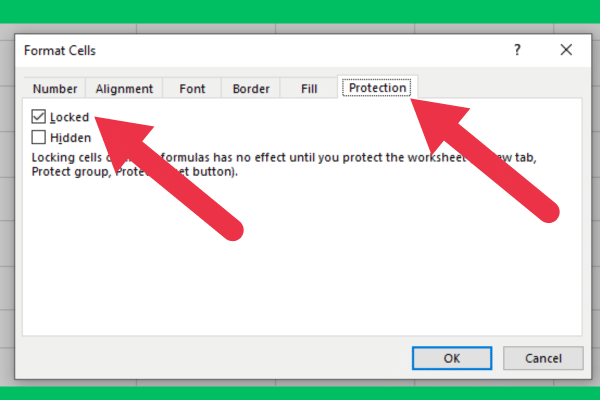 Locked checkbox in the Protection tab of the Format Cells dialog box