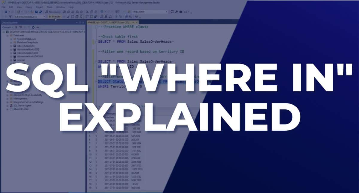 Sql where in explained with examples.