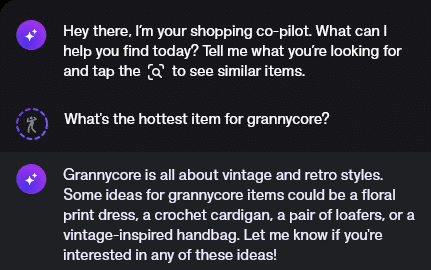The Shop app's AI chatbot can help shoppers with all kinds of suggestions