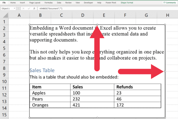 The handles on the sides of an inserted Word object in an Excel file