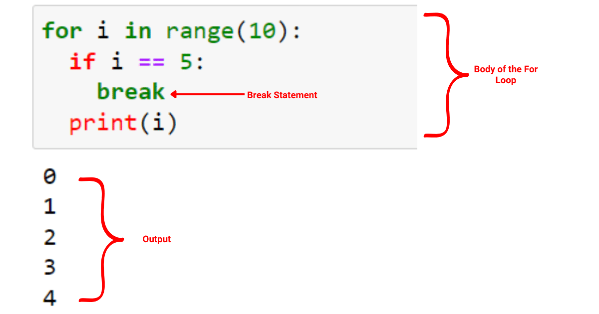 Using Break Statement with For Loop