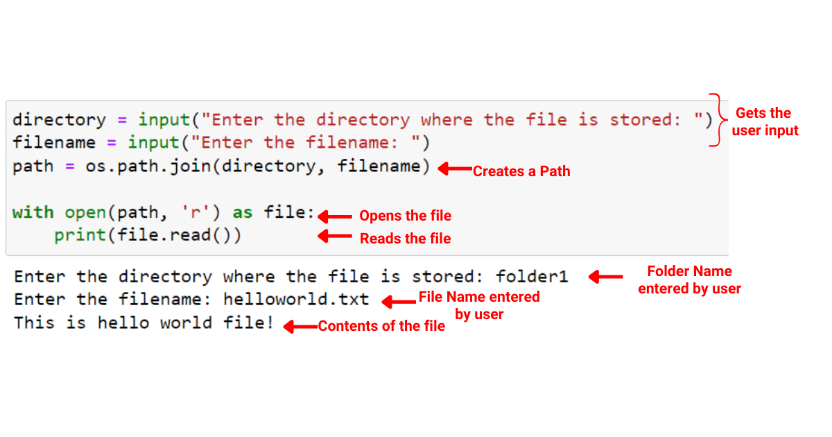 Printing the contents a text file
