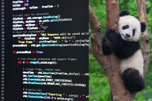 illustration of pandas