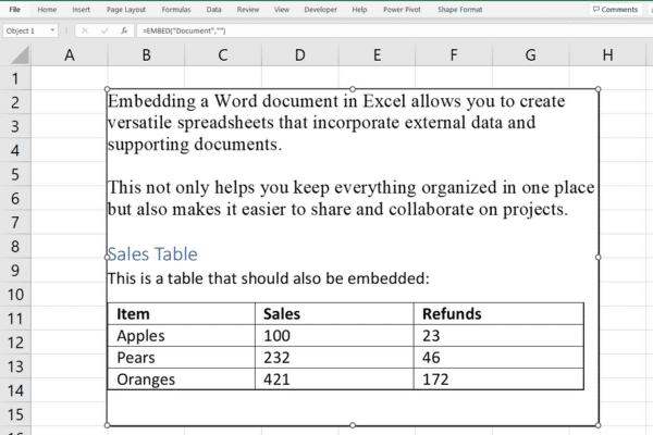 How to embed a word document in Excel