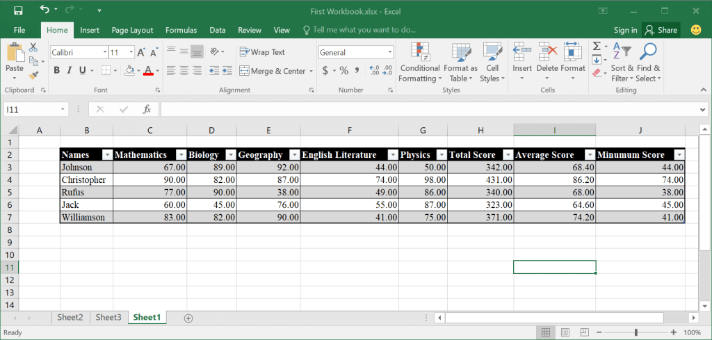 Sample of data entered into Microsoft Excel