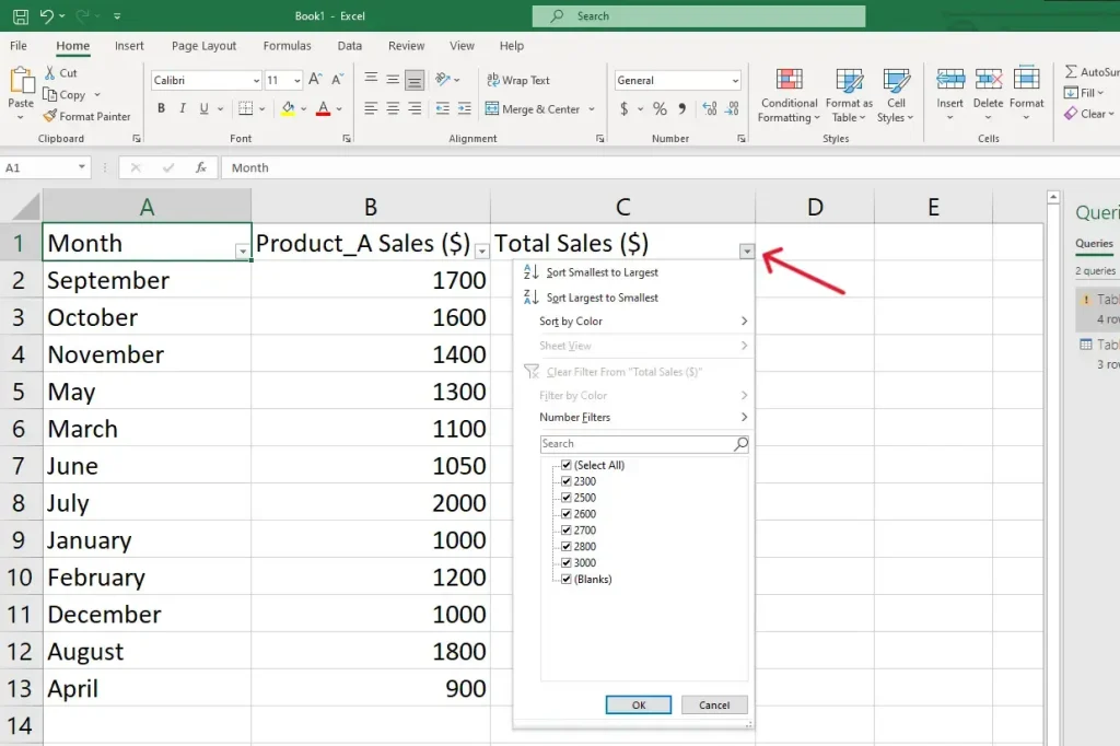 managing data in excel by using the filter option