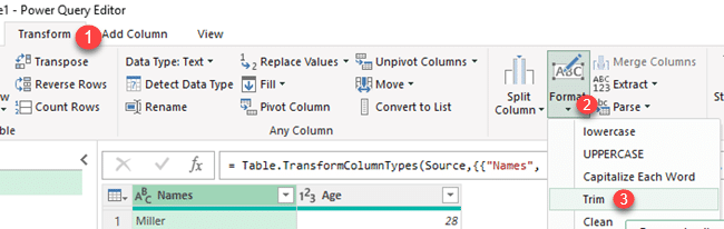 Trim in the Power Query Editor