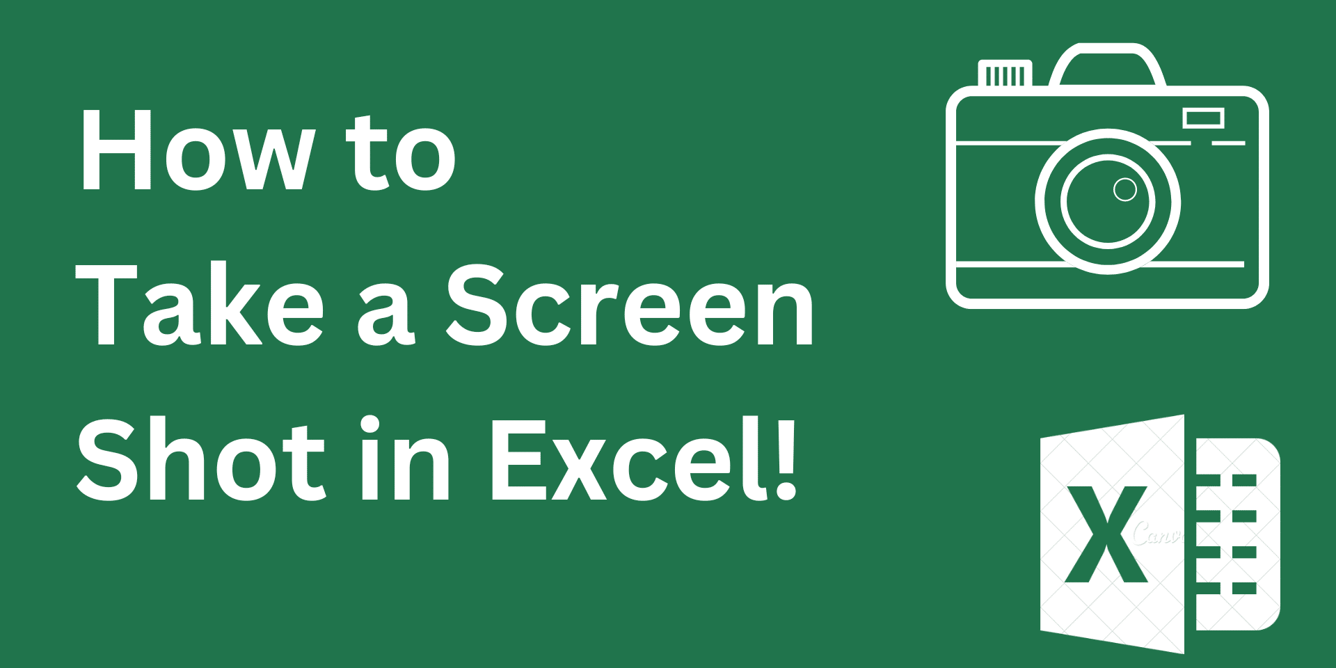 How to Take Screen Shot in Excel