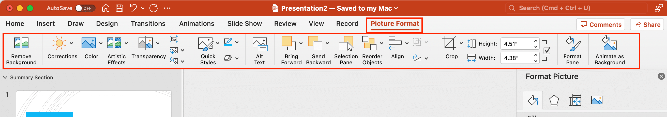 Picture format options in PowerPoint